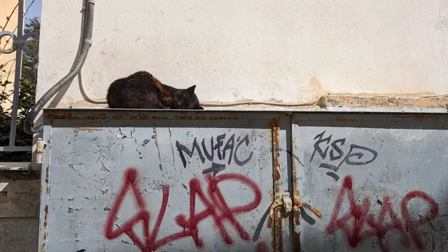 Αρ. 1 · Ερμούπολη