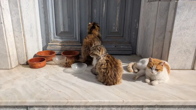 Αρ. 10 · Ερμούπολη