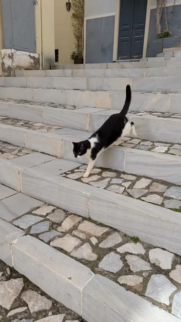 Αρ. 12 · Ερμούπολη