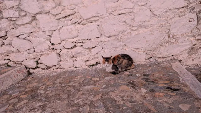 Αρ. 14 · Άνω Σύρος