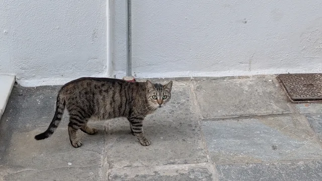 Αρ. 22 · Ερμούπολη