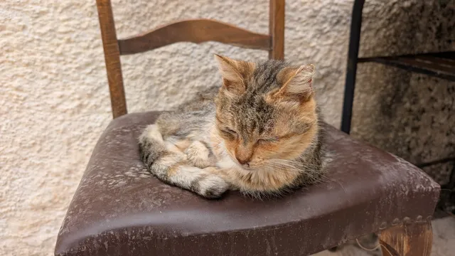 Αρ. 24 · Άνω Σύρος