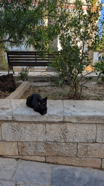 Αρ. 36 · Ερμούπολη