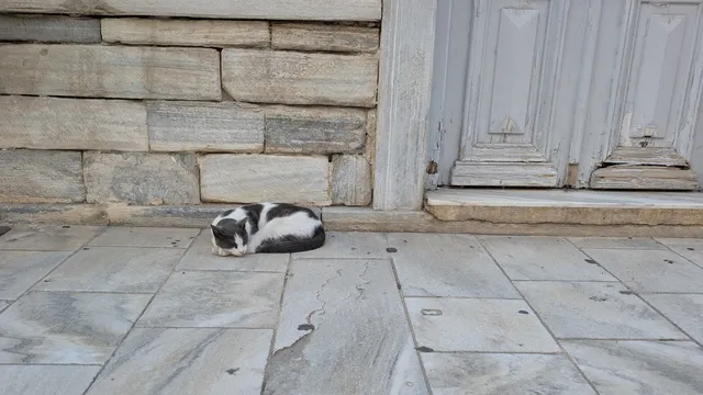 Αρ. 37 · Ερμούπολη