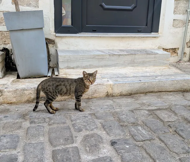 Αρ. 38 · Ερμούπολη
