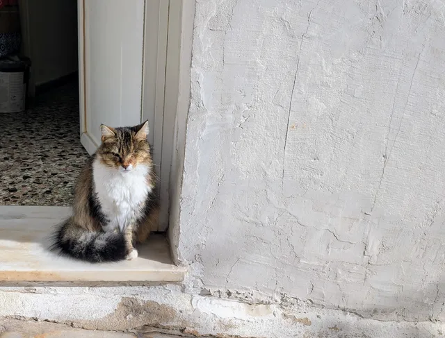 Αρ. 4 · Ερμούπολη