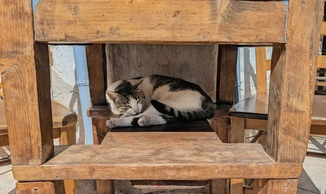 A white and tabby cat sleeps curled up on the seat of a rustic wooden chair, tucked under a wooden table.
