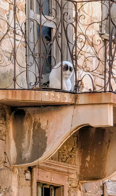A white cat with dark ears sits behind the ornate iron railings of a crumbling stone balcony.