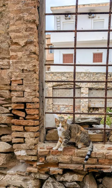 A calico cat sits on a crumbling brick wall behind rusty iron bars, with a white house beyond.