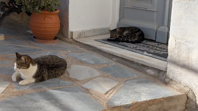 Αρ. 6 · Ερμούπολη